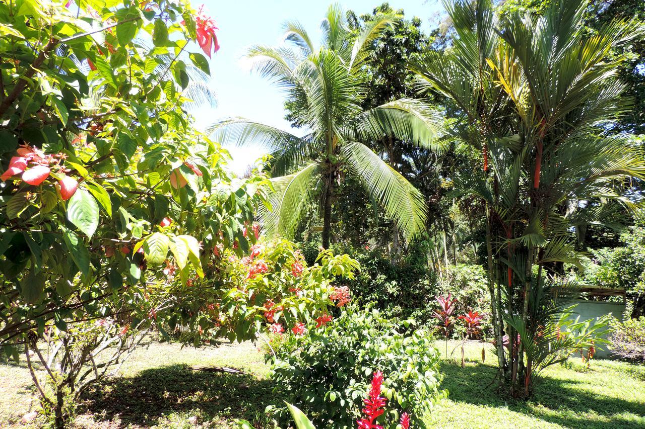 Rosa Lodge Cahuita Exterior photo