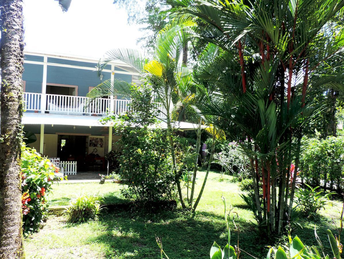 Rosa Lodge Cahuita Exterior photo