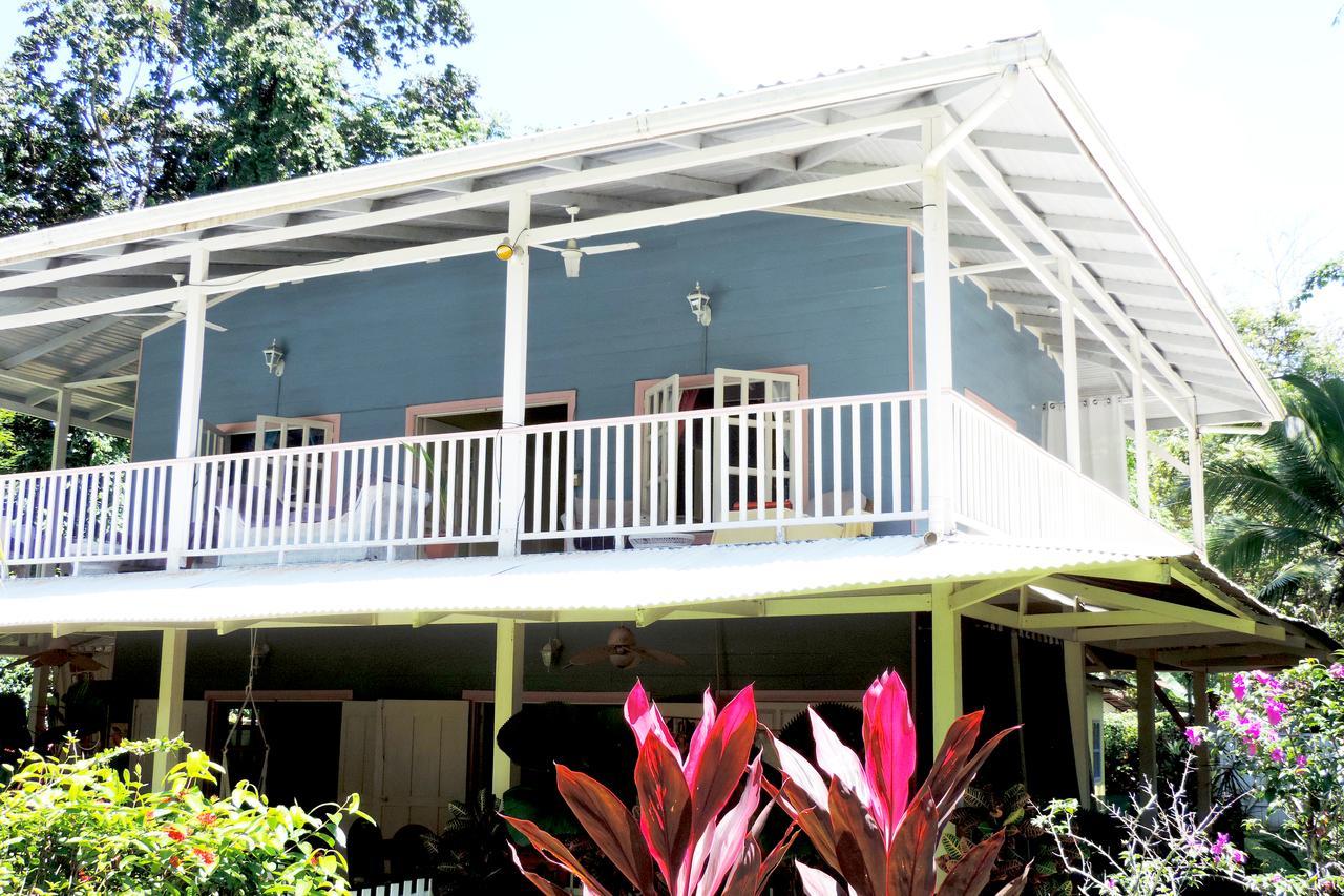 Rosa Lodge Cahuita Exterior photo